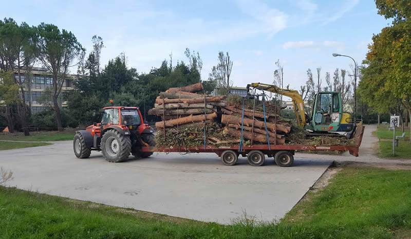 il Castagno lavori